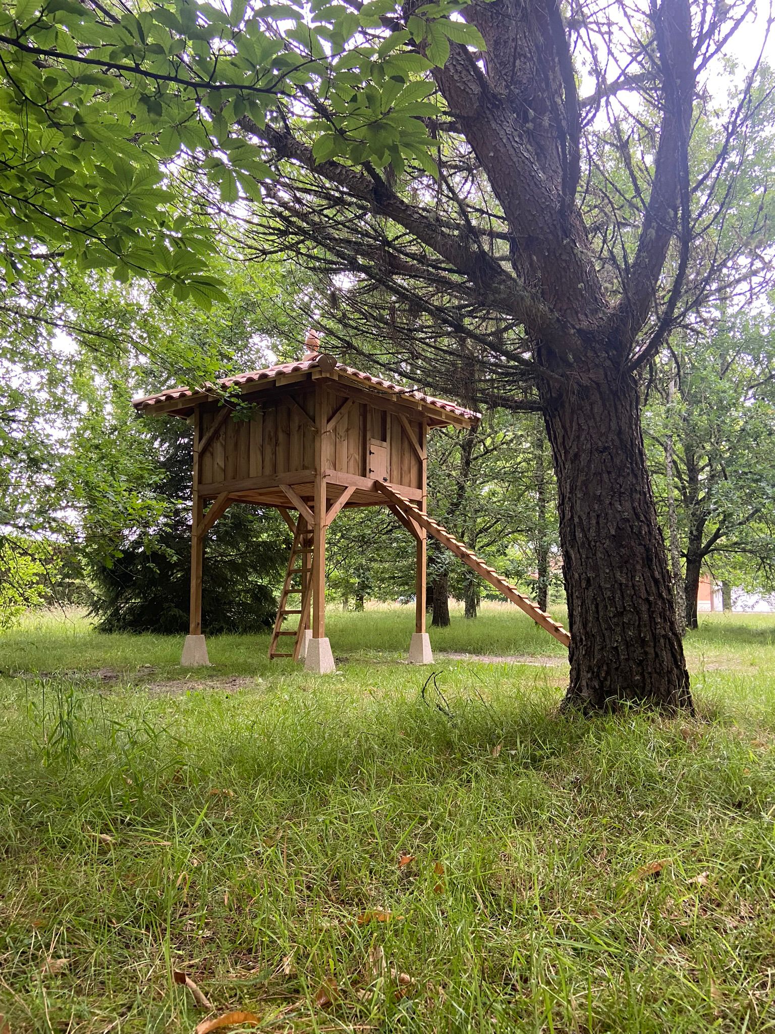Poulailler 4 pentes typique landais avec epi de faitage, dans un sous-bois
